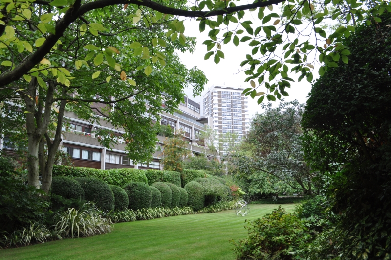 St George’s Fields